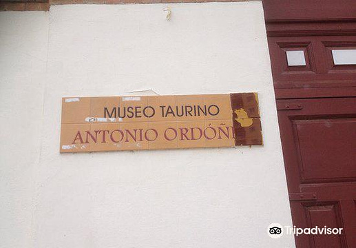 Museo Taurino Antonio Ordonez旅游景点图片