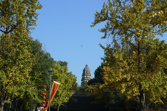 天池寺旅游景点图片