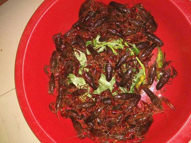 MY.girl蜜菓(霍山县蜜果饮品店)