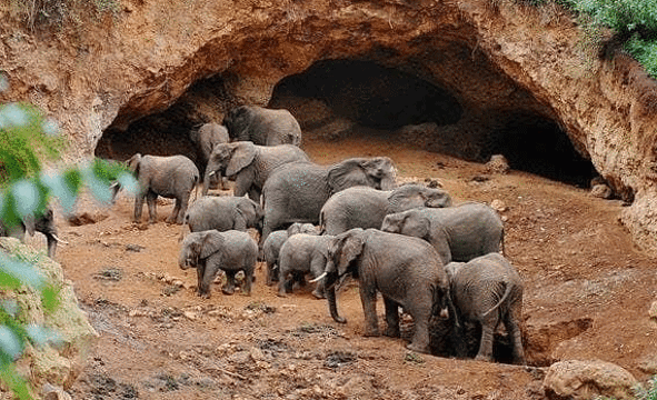 Elephant Caves旅游景点图片