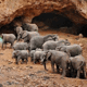 Elephant Caves
