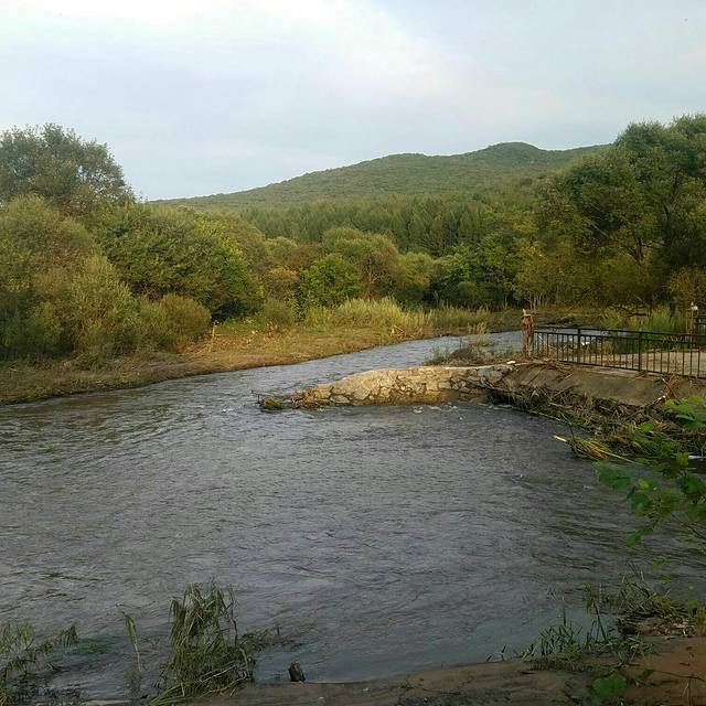 庆红生鱼馆(总店)