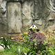 大熊猫太阳产房
