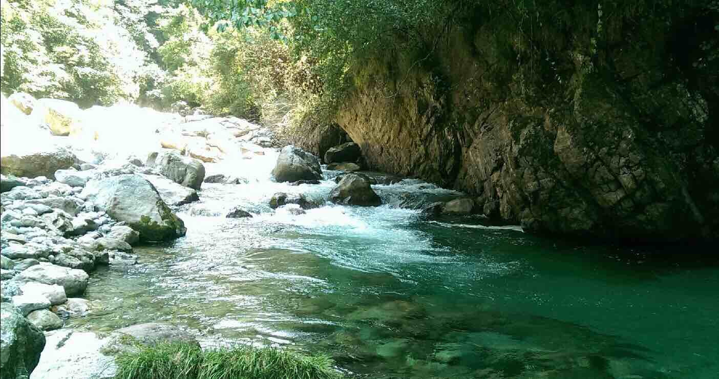 板仓自然保护区