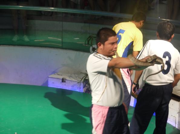 泰国红十字会萨瓦巴女王纪念研究所蛇园