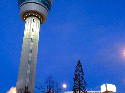 阿姆斯特丹史基浦机场图书馆旅游景点图片