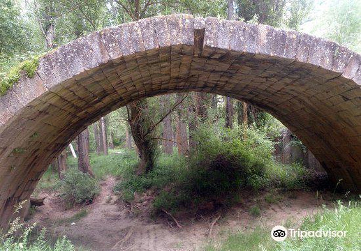 Hoces del Rio Duraton Natural Park旅游景点图片