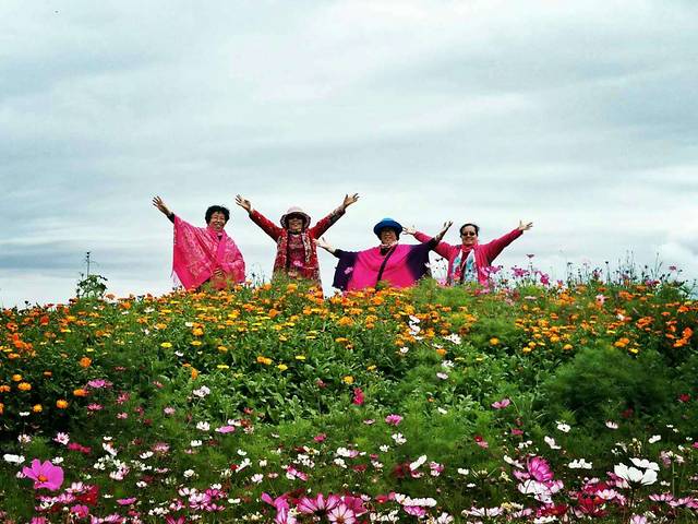 紫欣花卉植物园