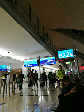 迪拜国际机场T3航站楼B出发区（礼品区店）