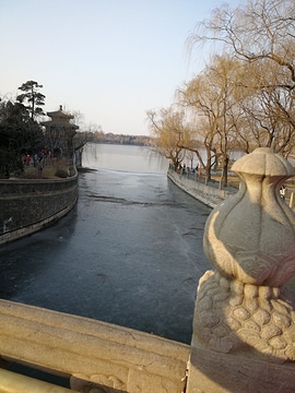 北京教学植物园的图片