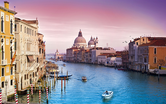 威尼斯港旅游景点图片