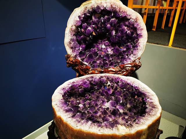 河北省地质博物馆