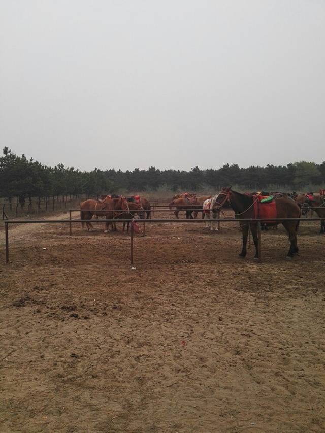 大清沟自然风景区