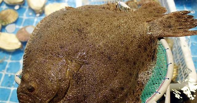 蛮蟹·蒸洋货(信达大厦店)