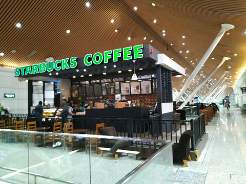 Starbucks KLIA旅游景点图片