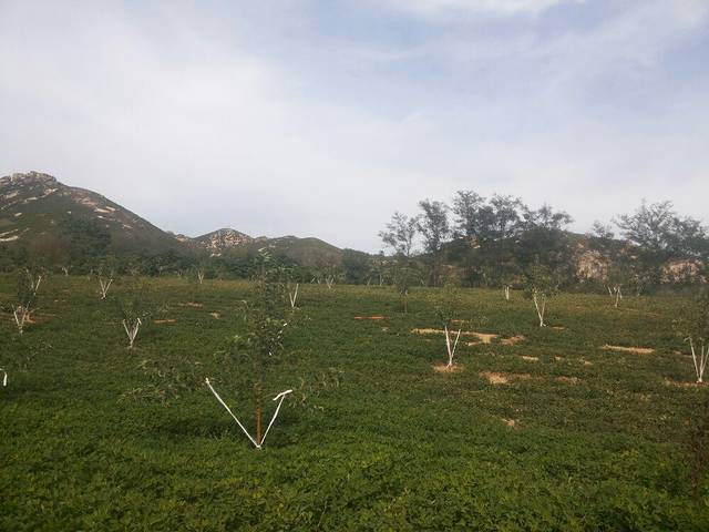 九华山主题乐园