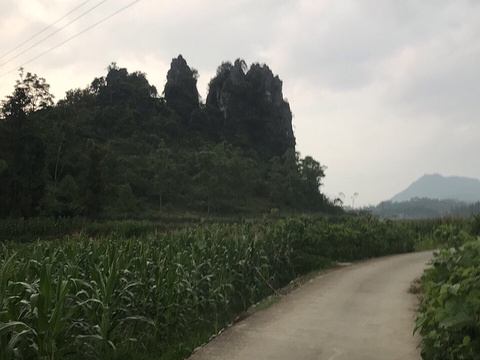 白土凯武批发部旅游景点图片