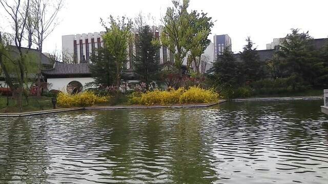 青岛西海岸美术馆