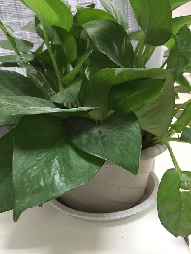 郑州国家森林公园