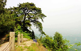 太蓬山风景区