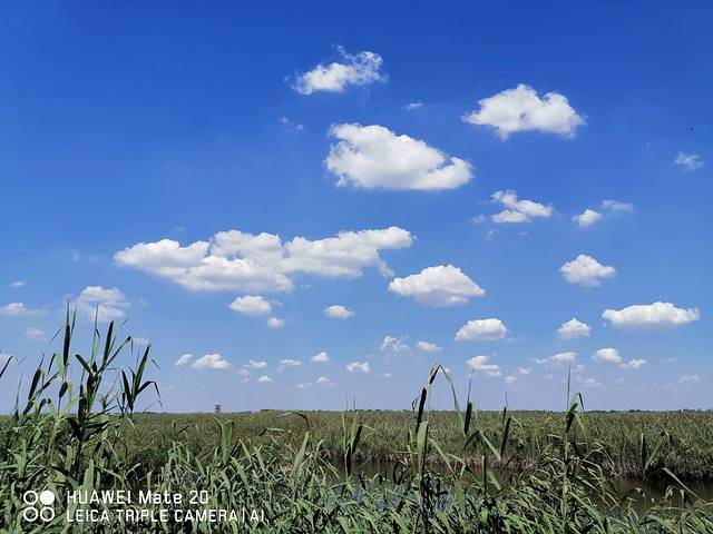 麻大湖国家湿地公园