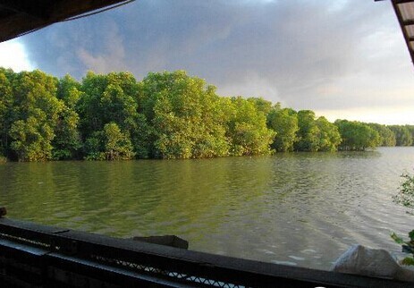 Salut Seafood Restaurant