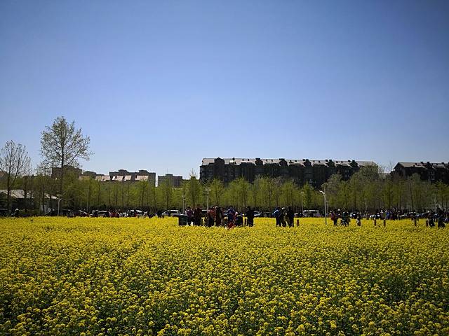田村文化体育广场