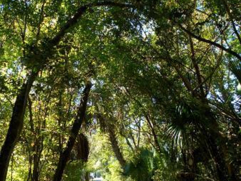 Briggs Nature Center旅游景点图片