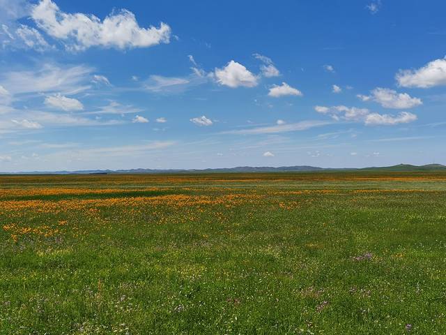 金莲川草原旅游度假区