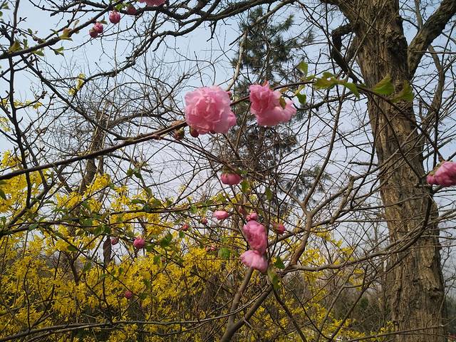 青岛贮水山儿童公园