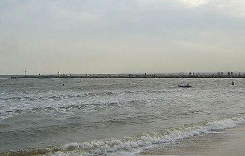 绥中海滩的图片