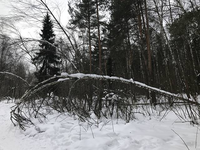 驼鹿岛国家公园