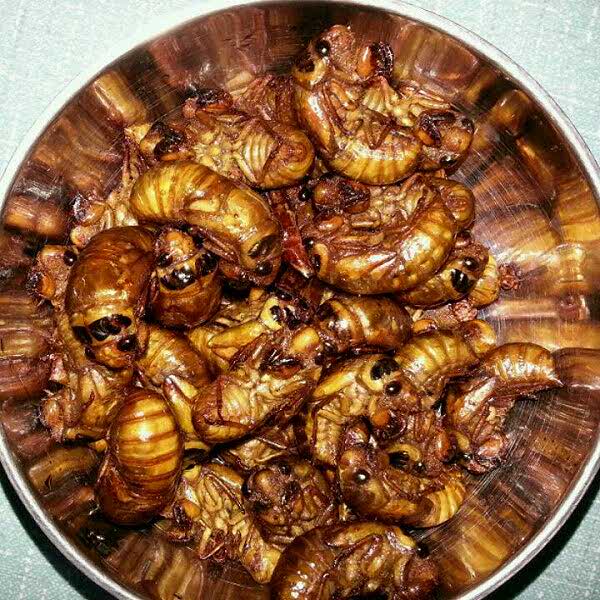 功德盛饭店(奎中路店)