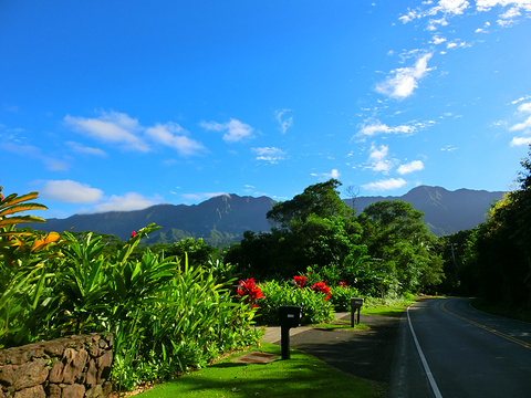 Maunawili Trail旅游景点图片