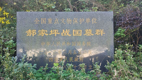 青川郝家坪战国墓群的图片