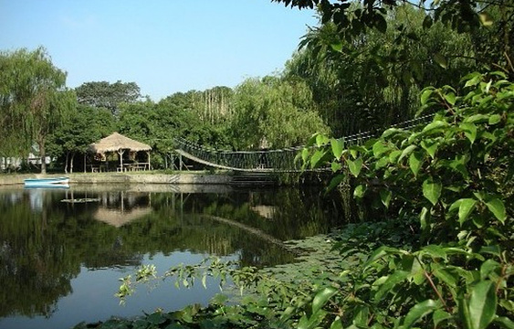 张林园旅游景点图片