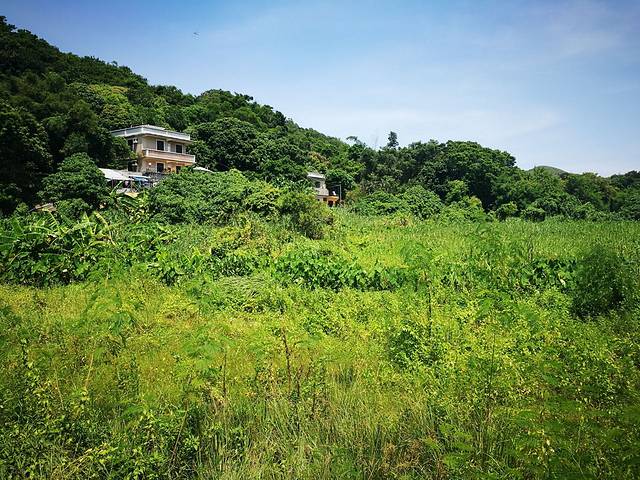 南丫风采发电站