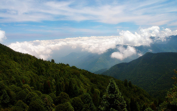 观雾国家森林游乐区旅游景点图片
