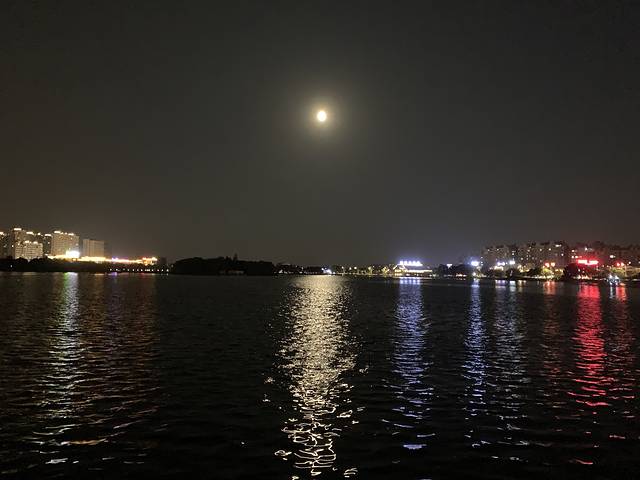 芦墟大渠荡生态公园