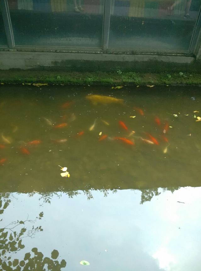 鹿野苑石刻艺术博物馆