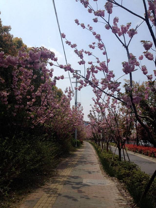 诺贝尔科技公园