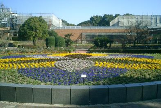 福冈市植物园旅游景点图片