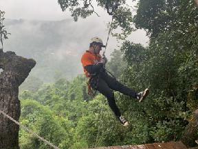 Jungle Flight Office