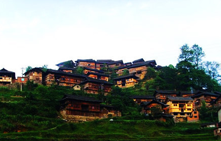 六枝梭嘎长角苗