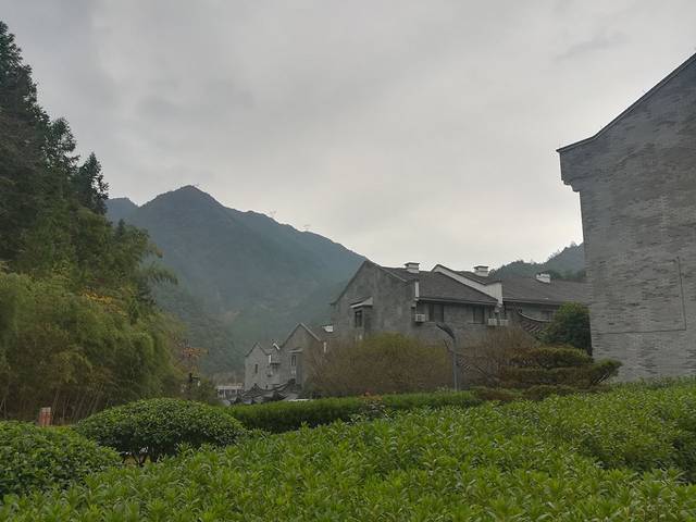 花台山森林公园