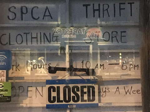 SPCA Thrift Store旅游景点图片