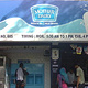 Mother Dairy‎