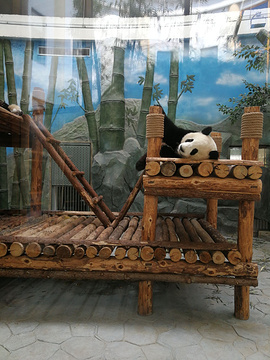 沧州动物园的图片