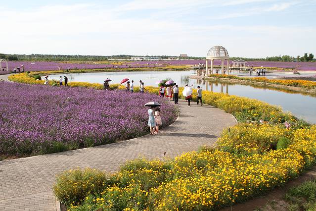 紫荆花卉广场-紫金花城基地景区