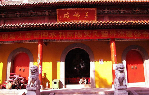 绍隆禅寺的图片